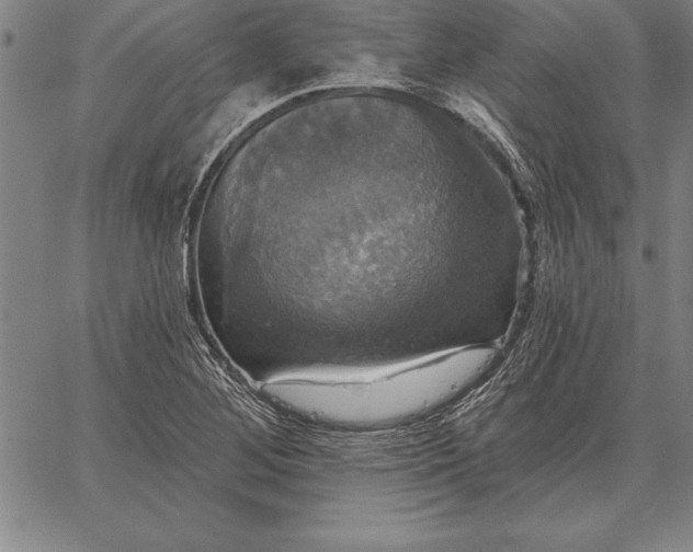 X0000067351268200604131742