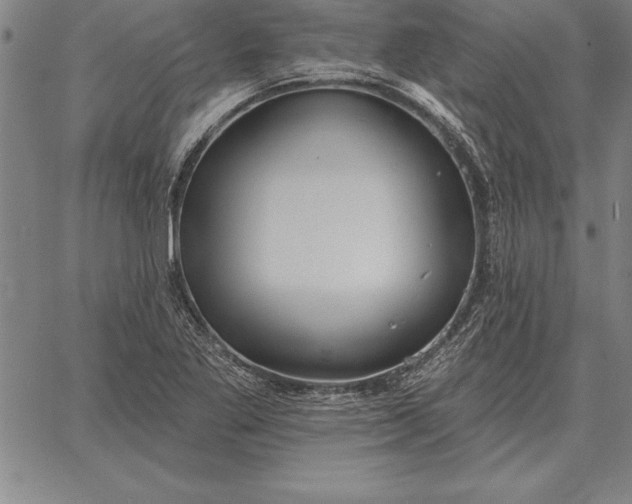 X0000067351269200604131742