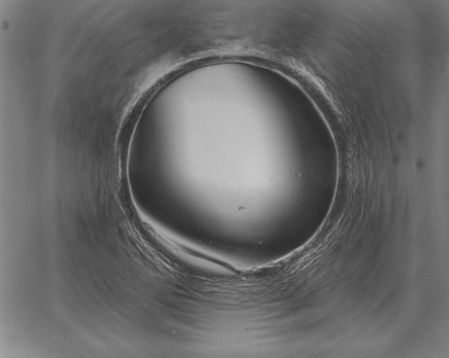 X0000067351270200604131741