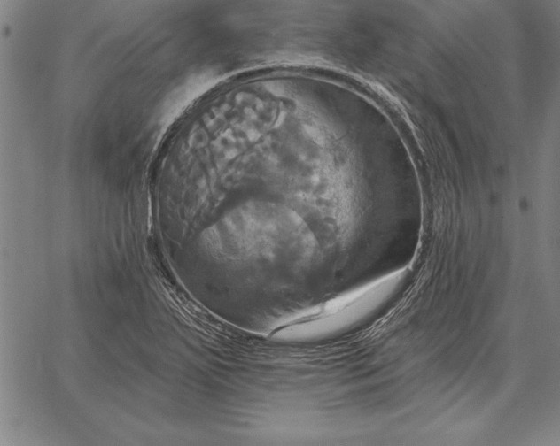 X0000067351271200604131741