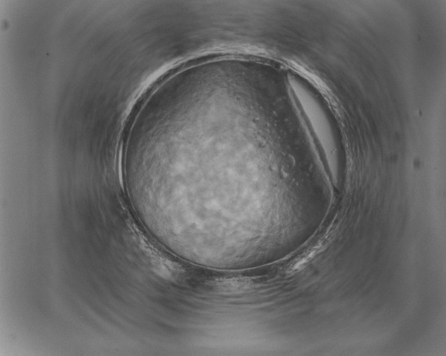 X0000067351272200604131741