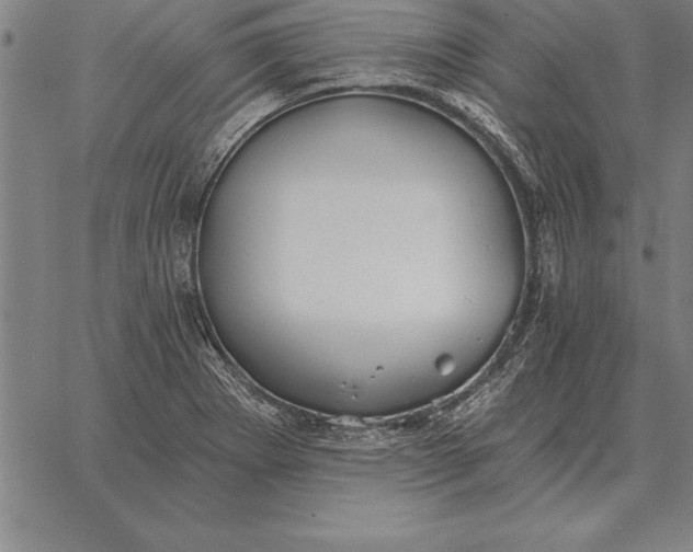 X0000067351273200604131741