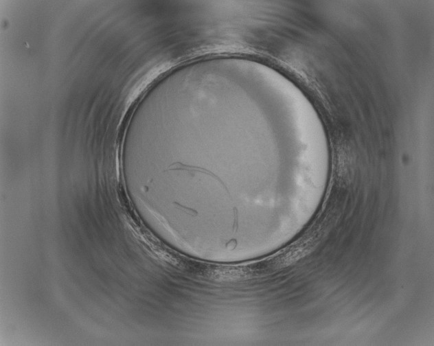 X0000067351274200604131741