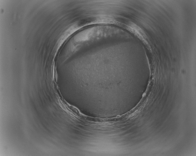 X0000067351276200604131741