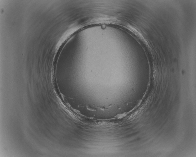 X0000067351277200604131741