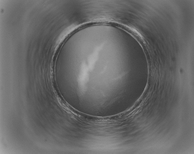 X0000067351279200604131741