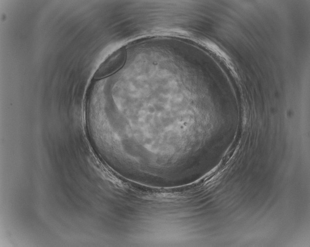 X0000067351280200604131741