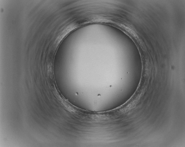 X0000067351281200604131741