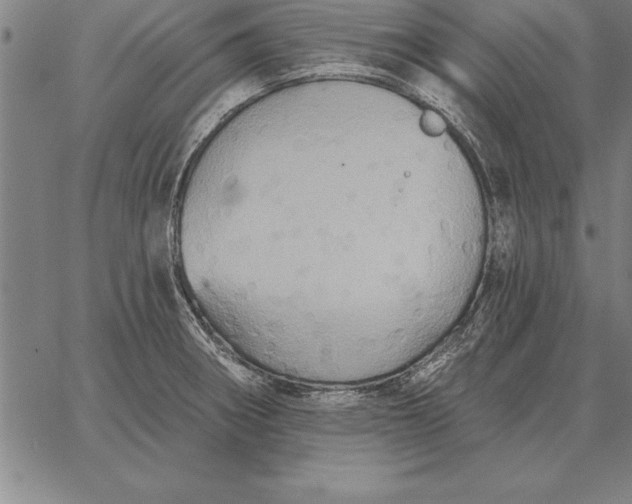 X0000067351282200604131741