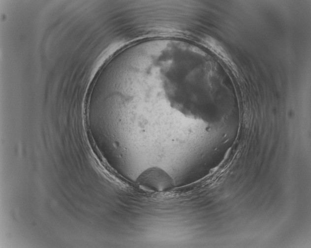 X0000067351283200604131741