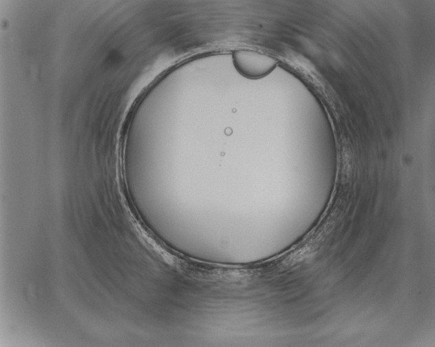 X0000067351286200604131741