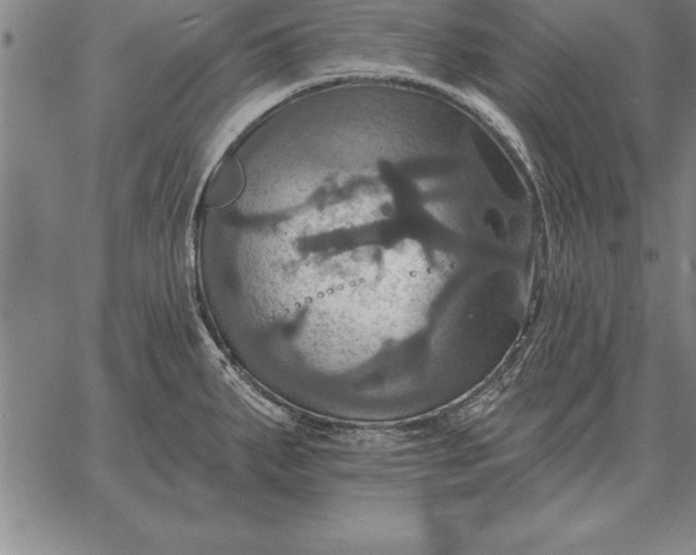 X0000067351287200604131741