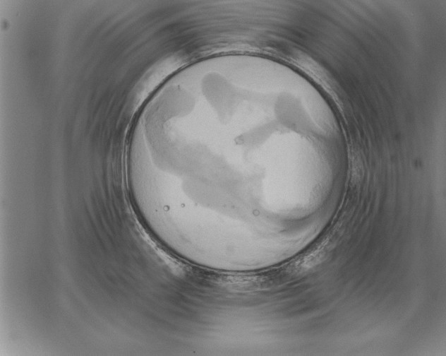 X0000067351290200604131741