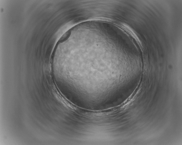 X0000067351292200604131741