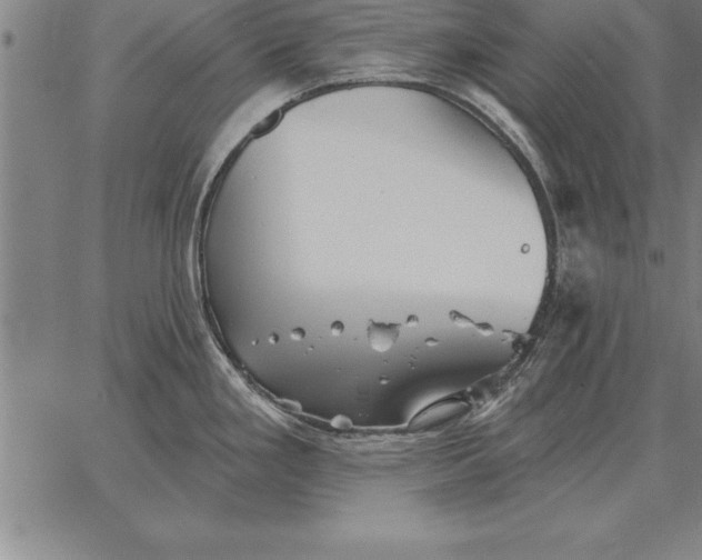 X0000067351293200604131741