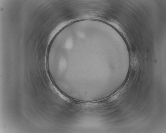 X0000067351294200604131741