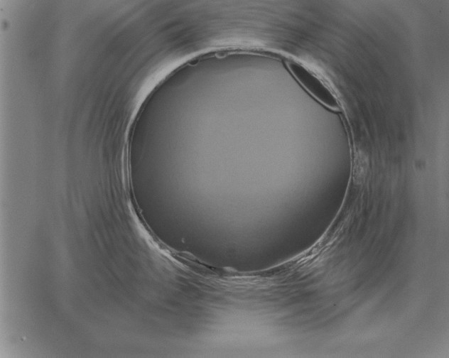 X0000067351295200604131741