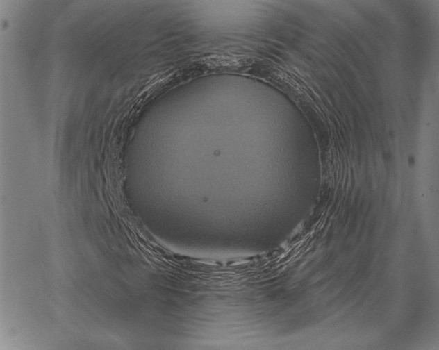 X0000067351297200604131740