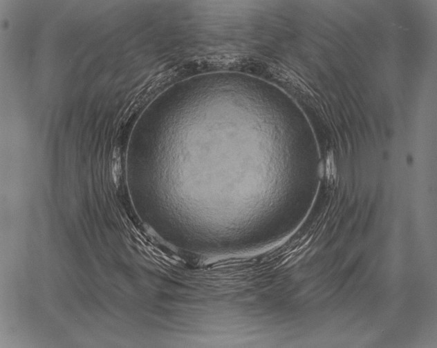 X0000067351299200604131740