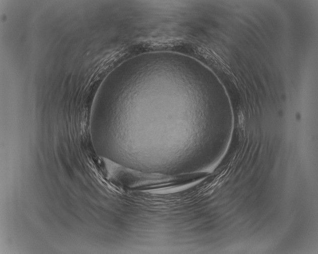 X0000067351300200604131740