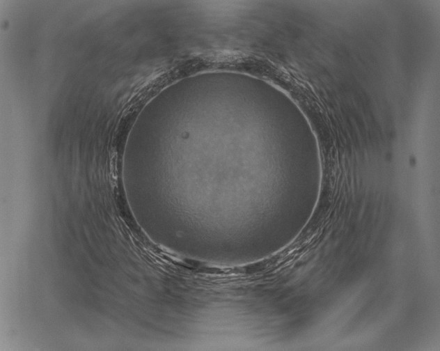 X0000067351301200604131740