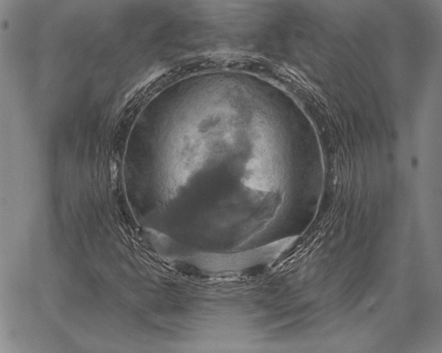 X0000067351302200604131740