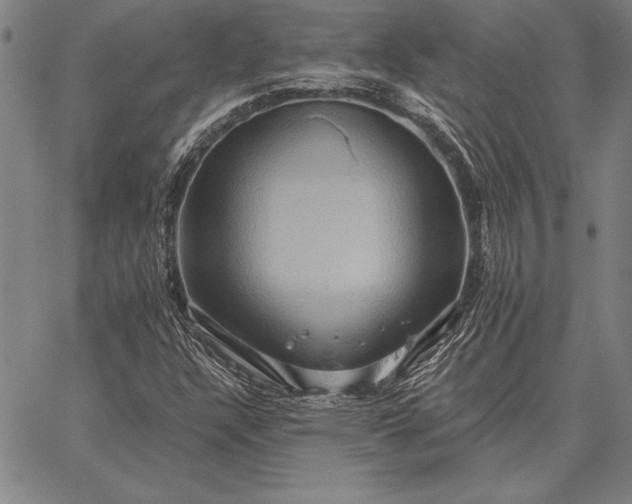 X0000067351304200604131740