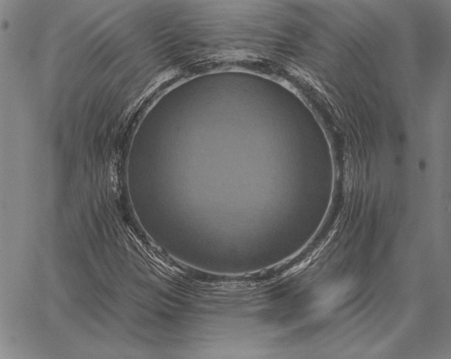 X0000067351305200604131740