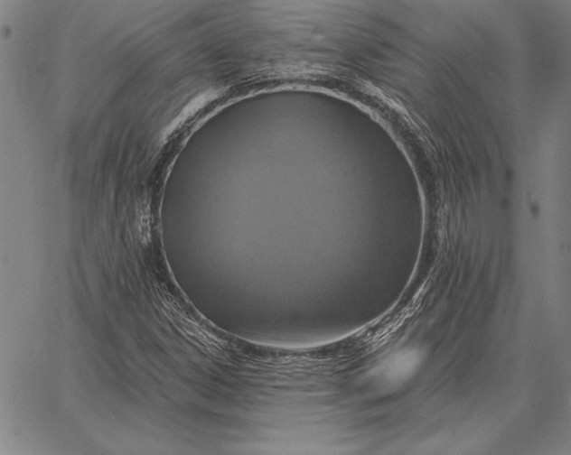 X0000067351306200604131740