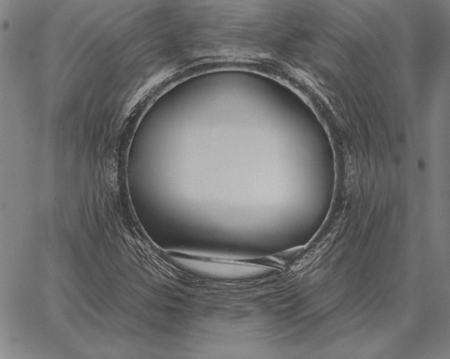 X0000067351307200604131740