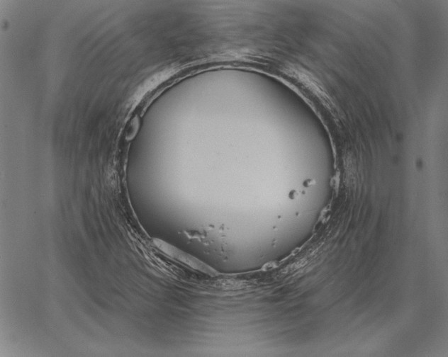 X0000067351308200604131740