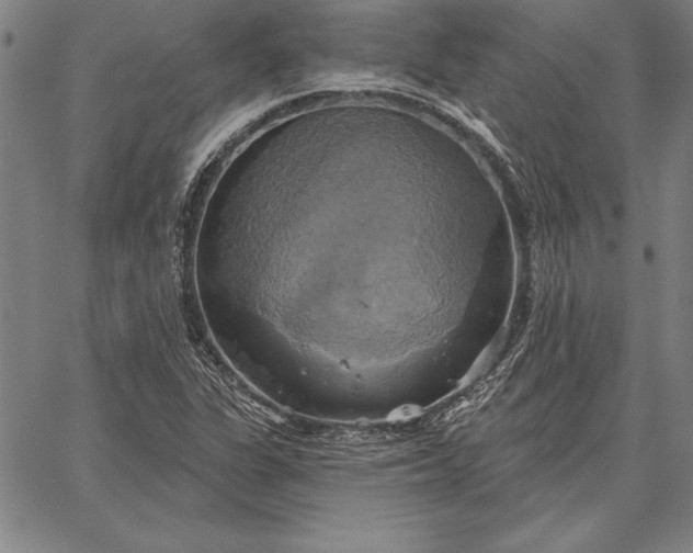 X0000067351311200604131741