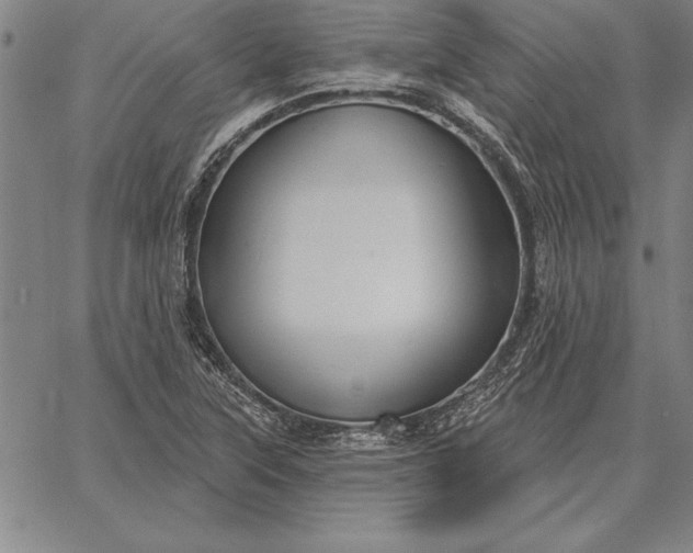 X0000067351315200604131741