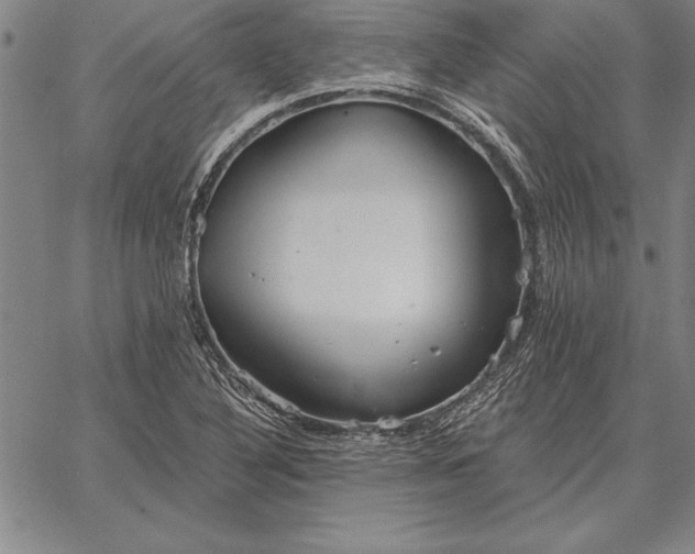 X0000067351316200604131741