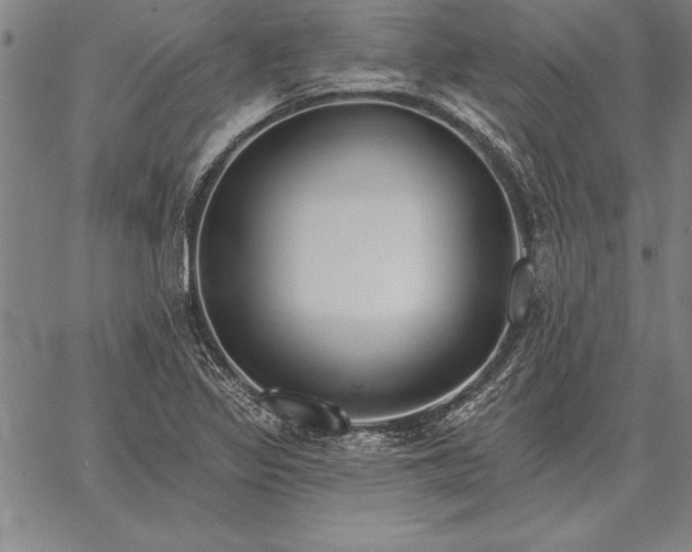 X0000067351317200604131741