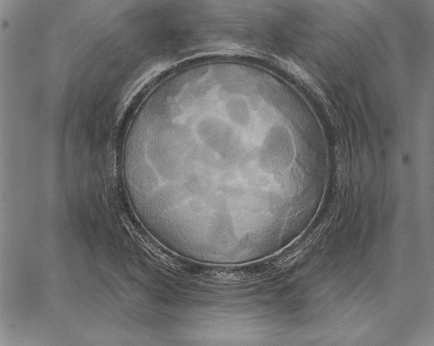 X0000067351318200604131741