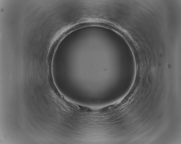 X0000067351319200604131741