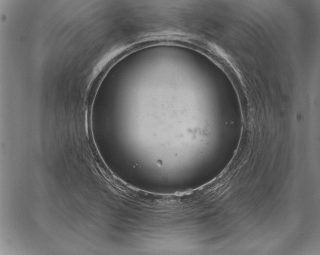 X0000067351320200604131741