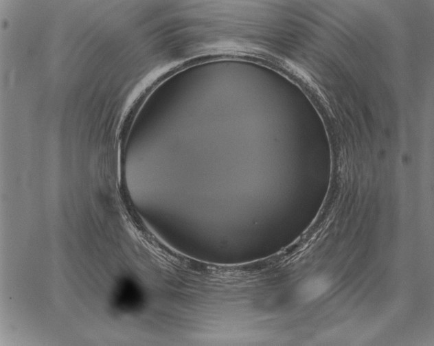 X0000067351323200604131741