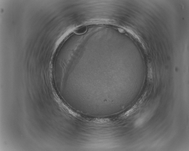 X0000067351325200604131741