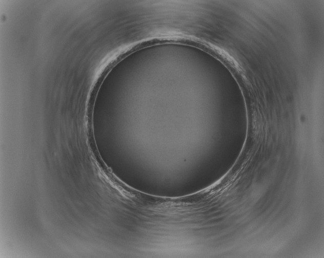 X0000067351327200604131741