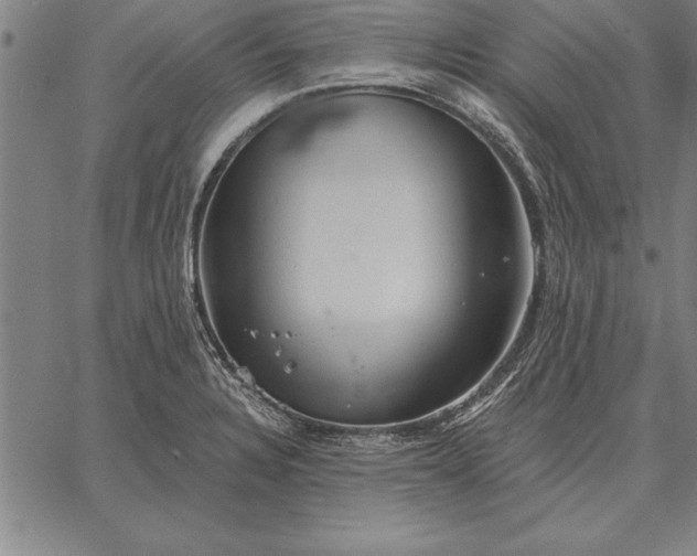 X0000067351328200604131741