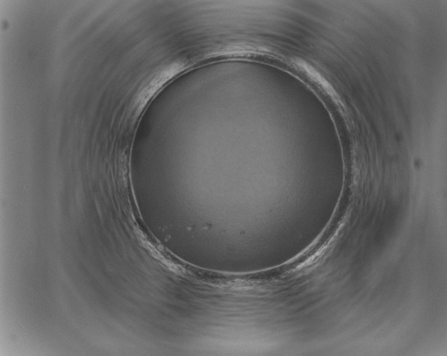 X0000067351329200604131741