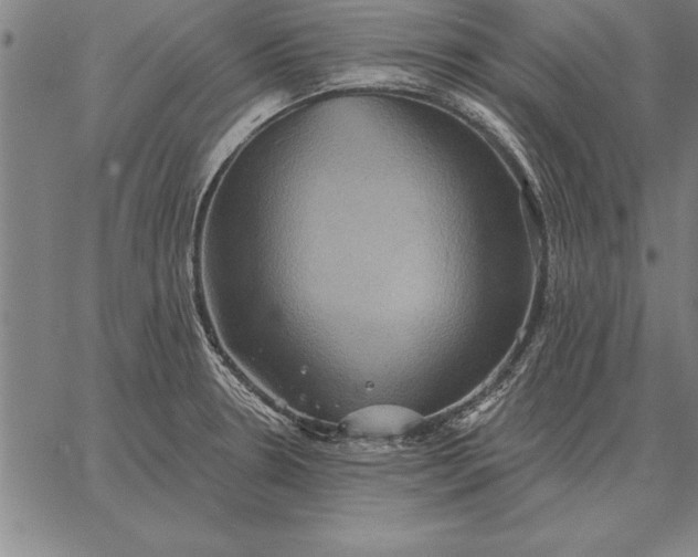 X0000067351330200604131741