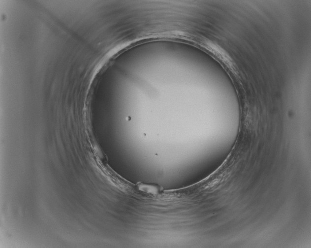 X0000067351332200604131741