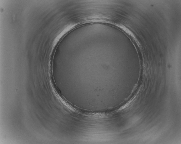 X0000067351333200604131741