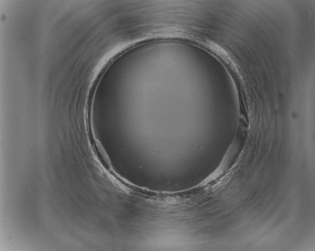 X0000067351334200604131741