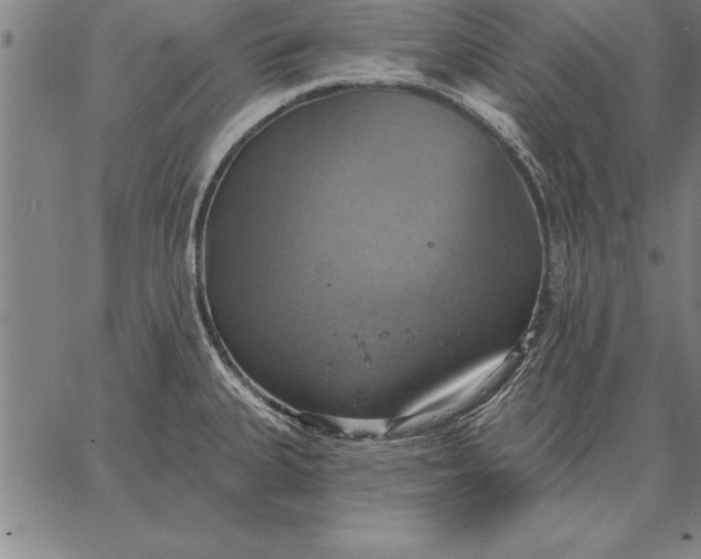 X0000067351335200604131741