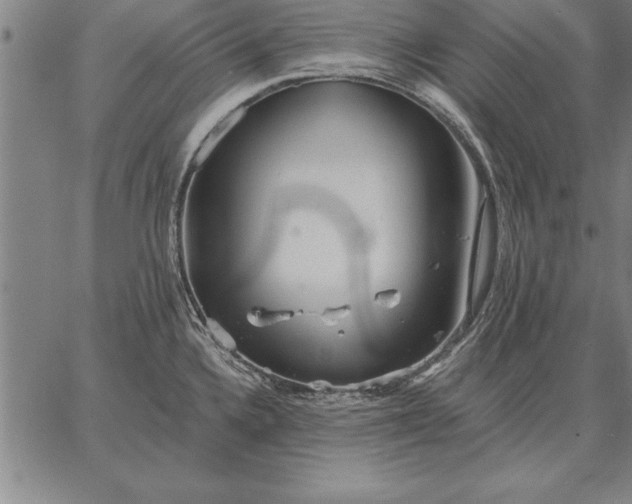 X0000067351336200604131741