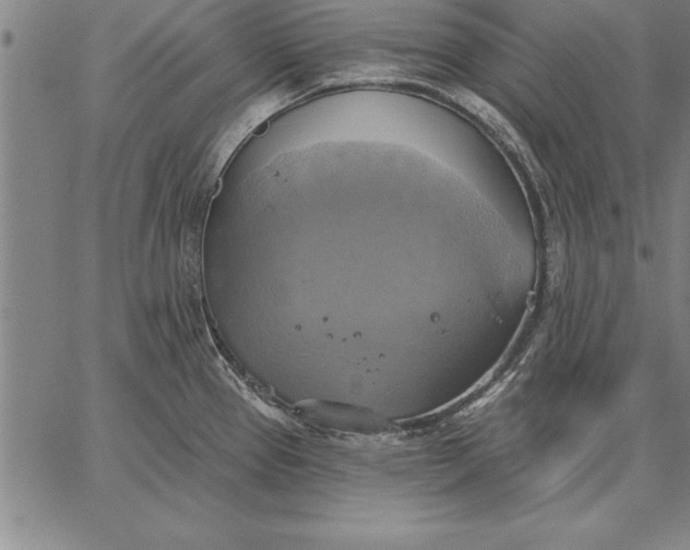 X0000067351337200604131741